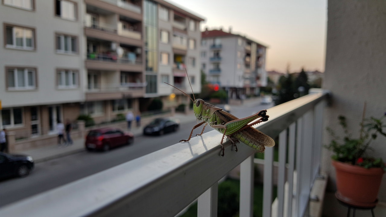 Bu tür iddiaları nasıl okumalı?